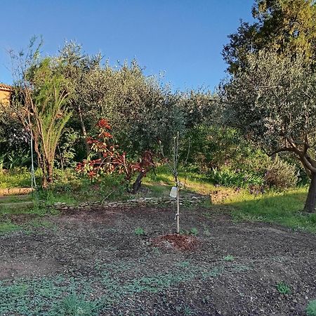 Studio 25M2 Avec Piscine Et Spa, Proche Iter Et Cadarache Valensole Exterior foto