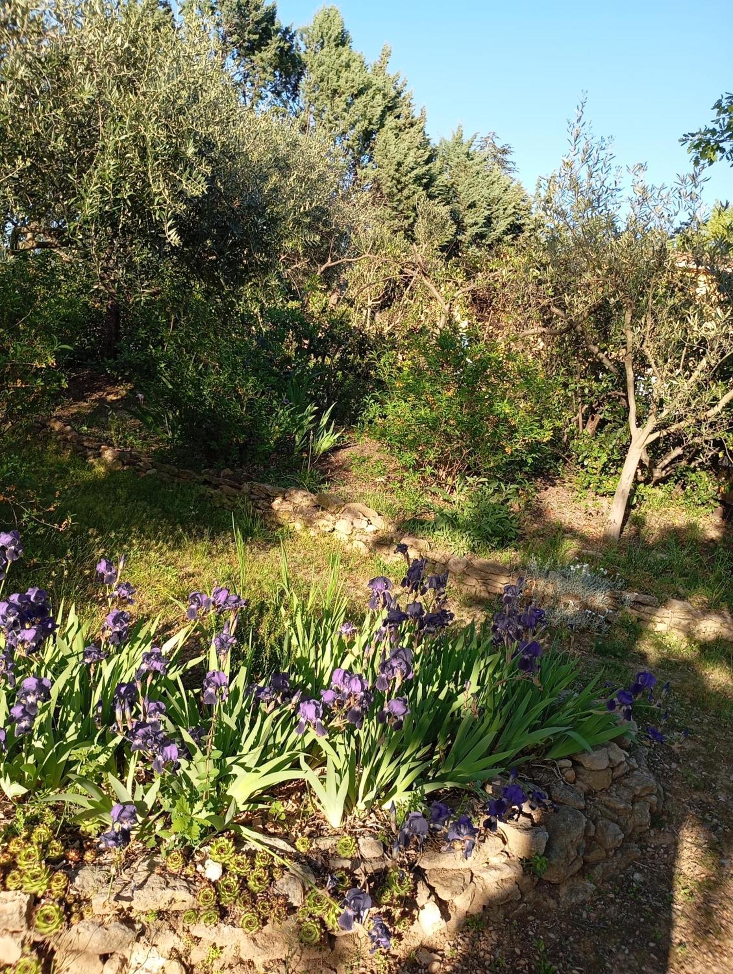 Studio 25M2 Avec Piscine Et Spa, Proche Iter Et Cadarache Valensole Exterior foto
