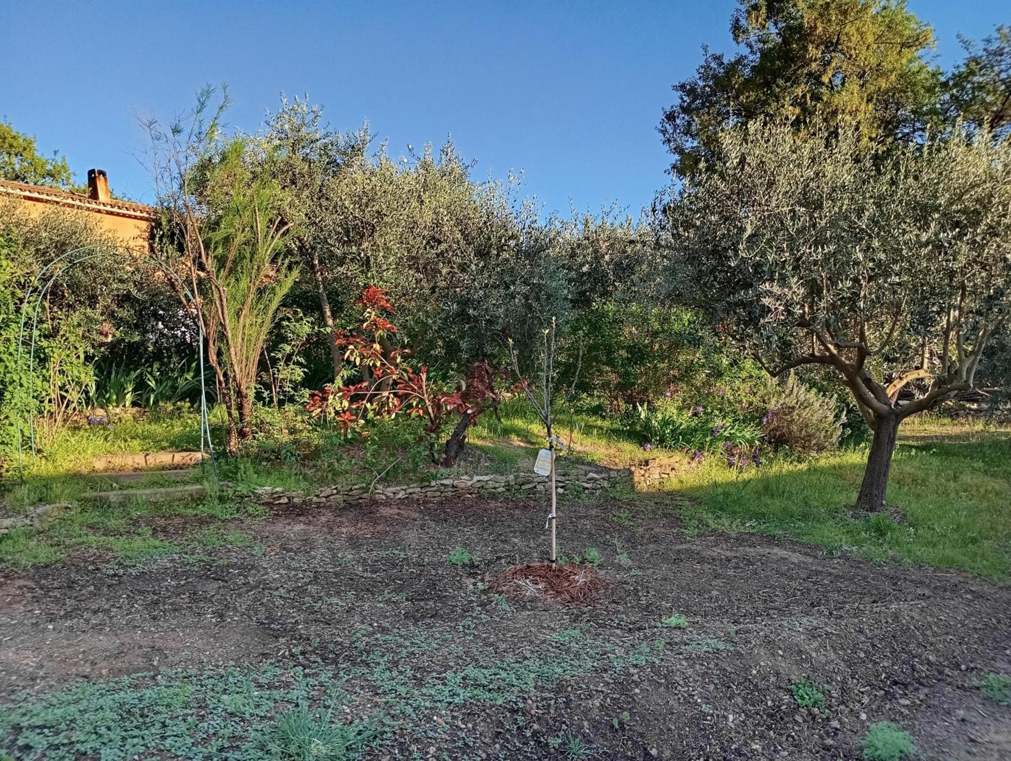 Studio 25M2 Avec Piscine Et Spa, Proche Iter Et Cadarache Valensole Exterior foto