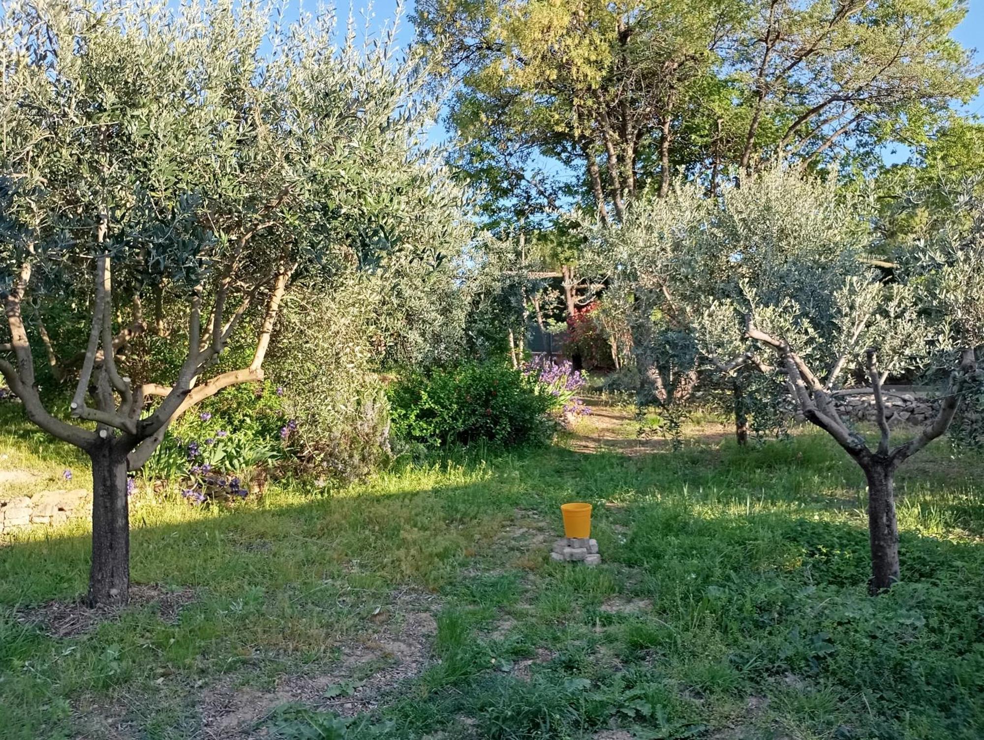 Studio 25M2 Avec Piscine Et Spa, Proche Iter Et Cadarache Valensole Exterior foto